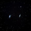 Спиральные  галактики  М65  (справа)  и  М66 (слева)  в  созвездии  Лев. Телескоп SKY  WATCHER  BKP 2008 HEQ5 PRO SynScan,  фотоаппарат  Canon 1100D, прямой  фокус, выдержка  45 сек,  ISO - 3200. Общая  выдержка  15  минут. Сложение  20  фото 