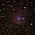Туманность NGC 2174. Телескоп SKY  WATCHER  BKP 2008 HEQ5 PRO SynScan,  фотоаппарат  Canon 1100D, прямой  фокус, выдержка  30 сек,  ISO - 3200. Общая  выдержка  10  минут. Сложение  20  фото  в  DeepSkyStacker, обработка XnView