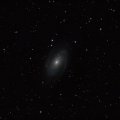 Спиральная галактика М81 \