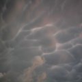Необычные вымеобразные облака  во  время  грозы  19  мая  2014  года. Облака  имеют необычную ячеистую форму. Встречаются редко, т.к. они связаны с образованием тропических циклонов, а также  сильных гроз. 