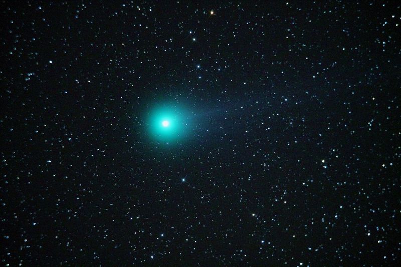 Комета C/2014 Q2 "Lovejoy"  в  созвездии  Андромеда