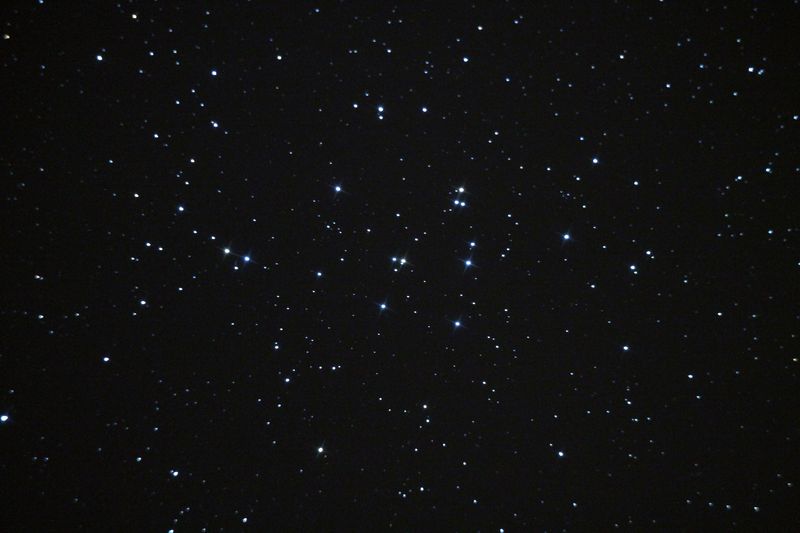 Скопление  М44 "Ясли"  в  созвездии  Рак