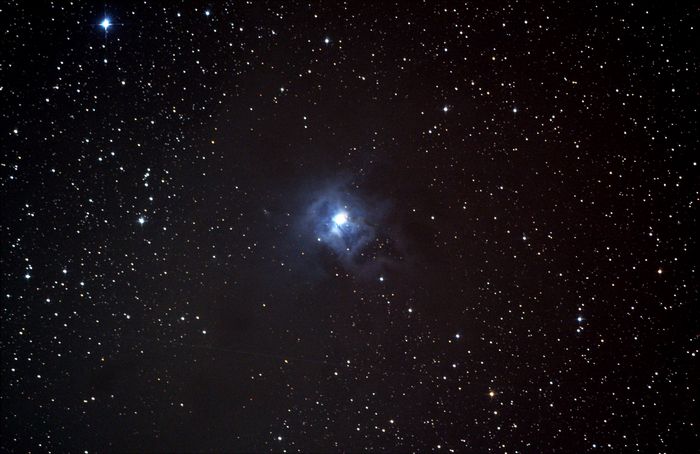 Отражательная туманность NGC 7023 "Ирис". 24.03.2017. Д. Мокрадь. Фото: Павел Григорьев
