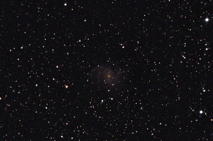 Спиральная галактика NGC 6946 в созвездии Лебедь. Ратомка. 19 мая 2018 года.