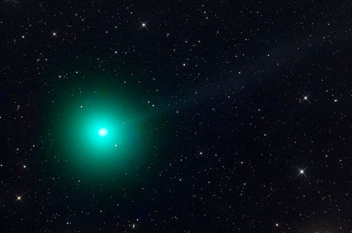 Комета C/2018 Y1 (Iwamoto) и ее тонкий газовый хвост. Автор: Gerhard Bachmayer