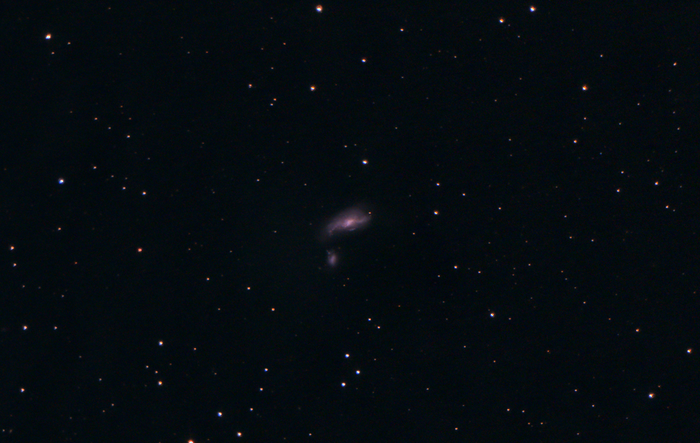 Спиральная галактика NGC 4490. 