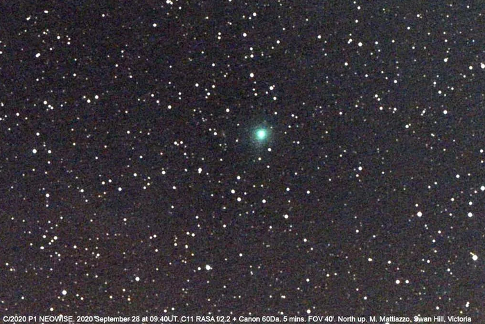 Комета C/2020 P1 "Neowise"