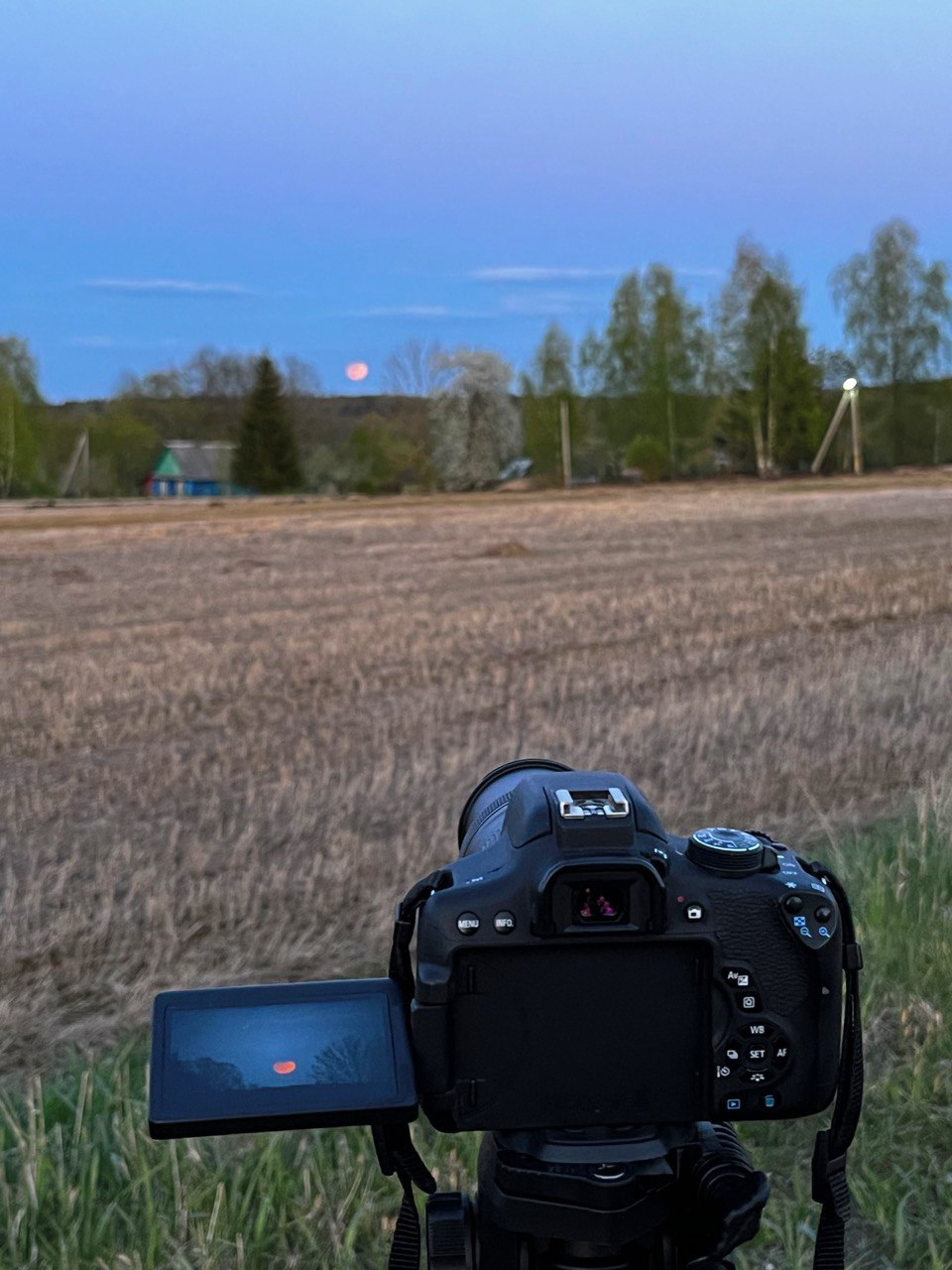 Восход Луны и лунного затмения. 5 мая 2023 года. Фото: Владимир Петров