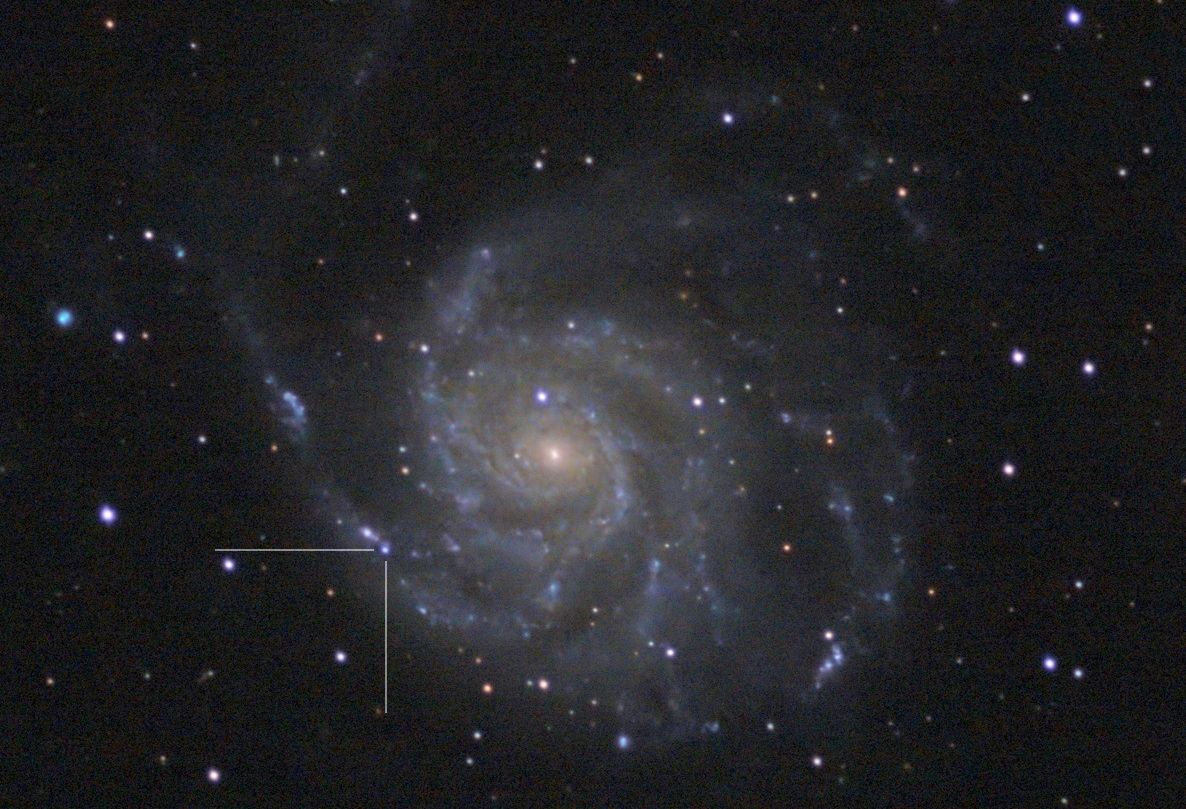 Сверхновая звезда в галактике М101 "Вертушка". Фото: Николай Потапов