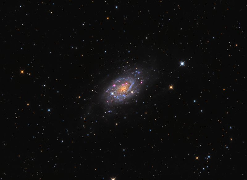 NGC 2403 - спиральная  галактика  в  созвездии  Жираф
