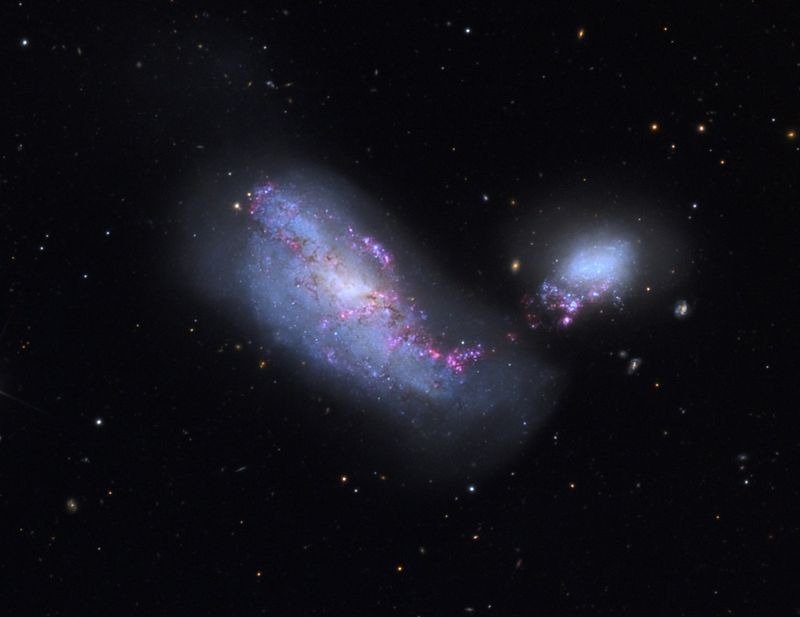 NGC 4490 - спиральная  галактика  в  созвездии  Гончие  Псы