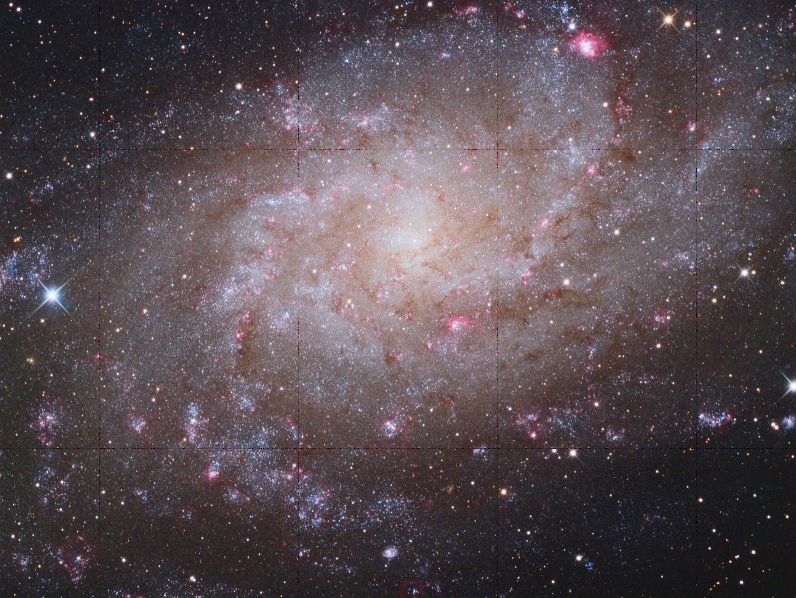 Мессье  33 - спиральная   галактика  в  созвездии  Треугольник