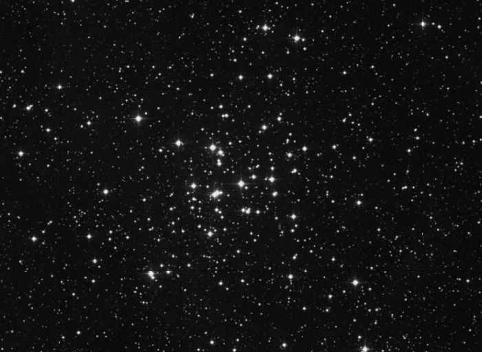 Мессье  36 - рассеянное  звездное  скопление  в  созвездии  Возничий