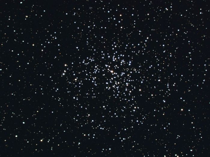 Мессье  37 - рассеянное  звездное  скопление  в  созвездии  Возничий